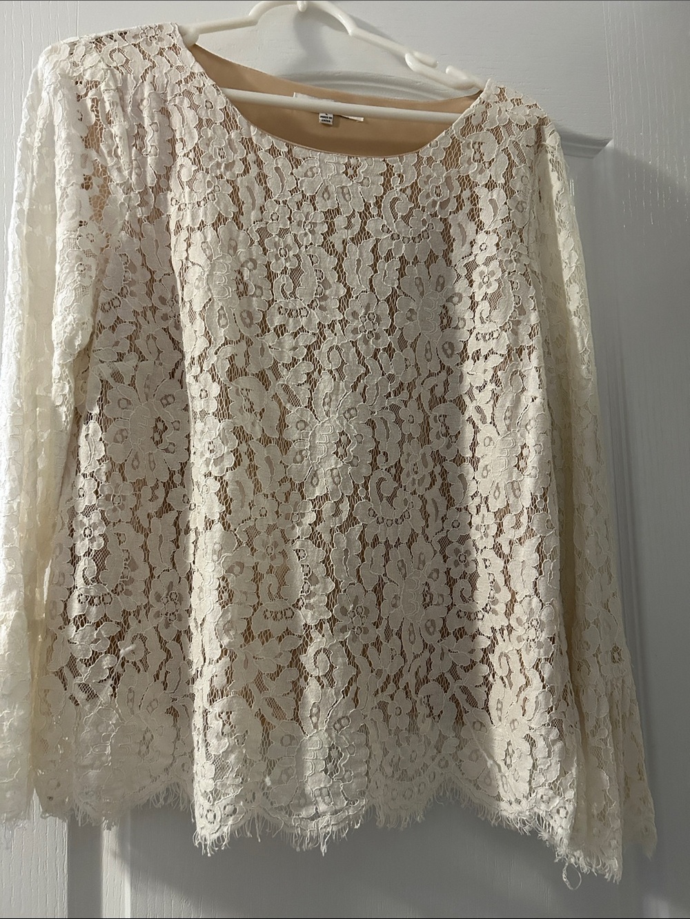 Rose & Olive Cream Floral Lace Long-Sleeve Blouse